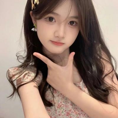蒂科与鲨鱼