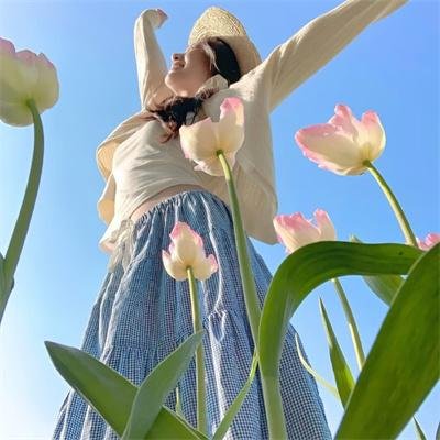 霍利奥克 11:55