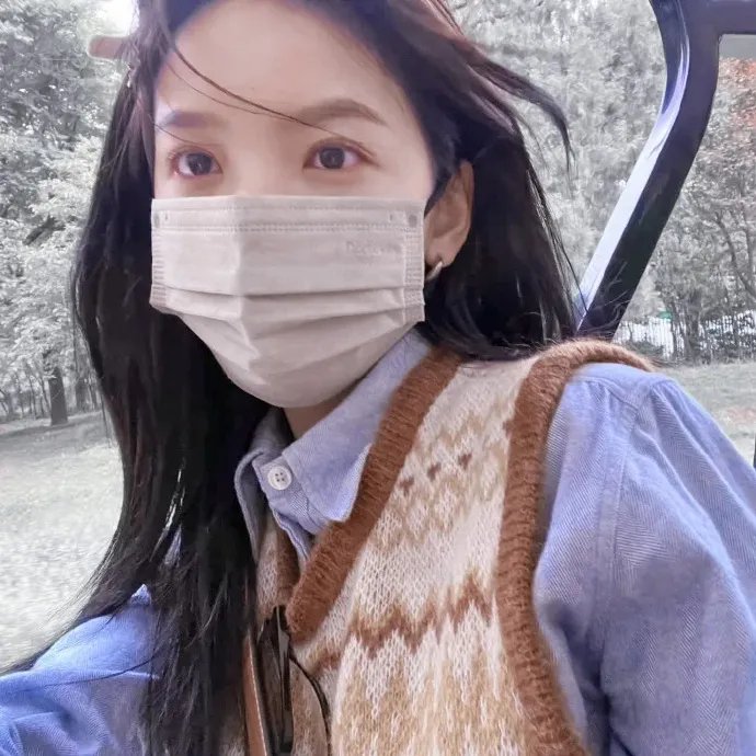 良陈美锦